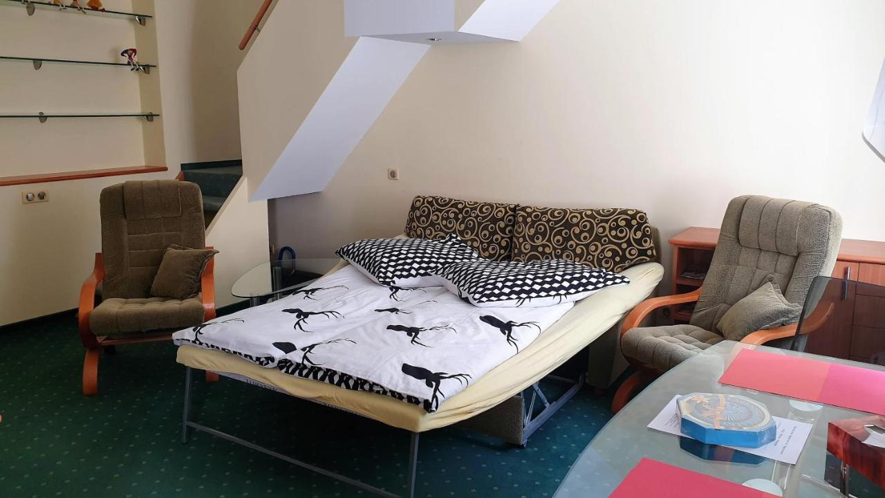 Spa Apartment Raisova 카를로비바리 외부 사진